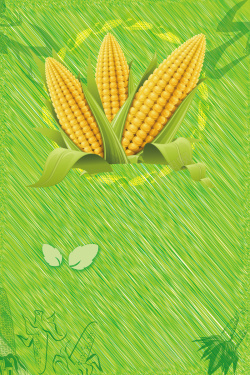 杂粮包装新鲜玉米海报背景高清图片