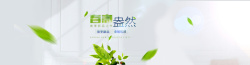 唯美春春季主题背景高清图片