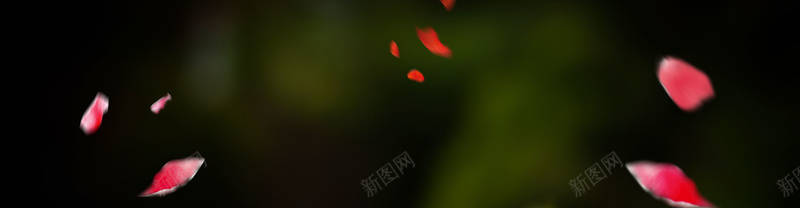 梦幻香水banner背景图psd设计背景_新图网 https://ixintu.com 海报banner 梦幻 浪漫 背景 香水