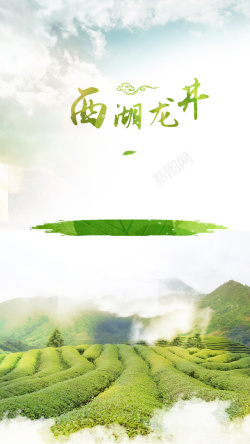 西湖龙井小清新PSD分层H5背景素材背景