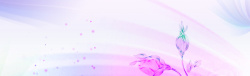 嫣红梦幻紫色背景图高清图片