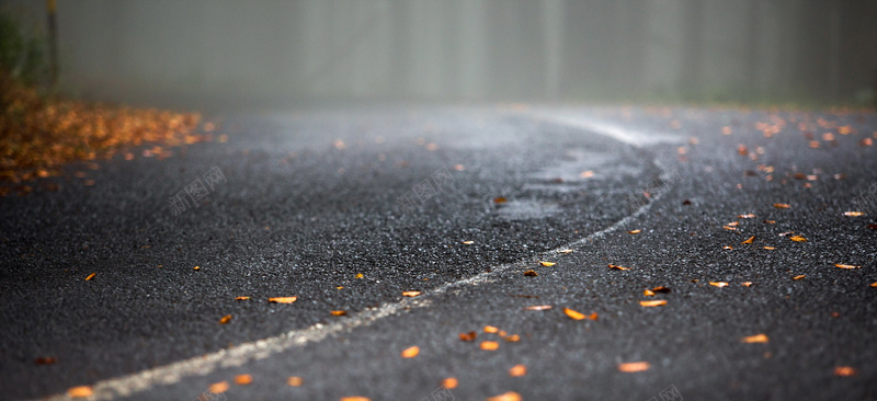 风景道路黄叶背景jpg设计背景_新图网 https://ixintu.com 风景 道路 黄叶 灰色 海报banner 摄影