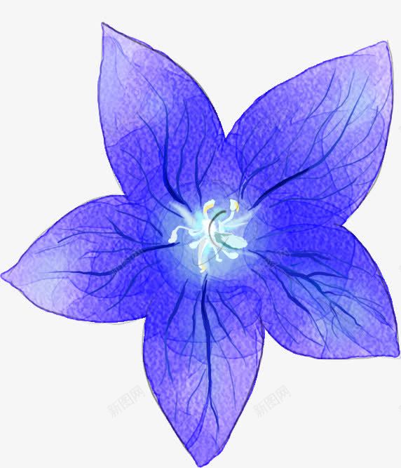 合成效果紫色的水彩花卉png免抠素材_新图网 https://ixintu.com 合成 效果 紫色 水彩 花卉