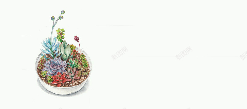 日系文艺清新手绘多肉植物背景背景