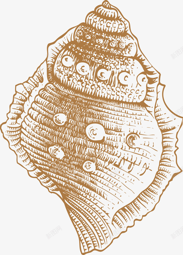 卡通海螺图片素材png免抠素材_新图网 https://ixintu.com 海螺图片素材 海螺 图片素材 PNG