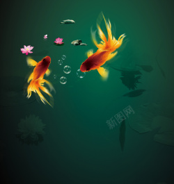 绿色游鱼中国风水中锦鲤荷花背景素材高清图片
