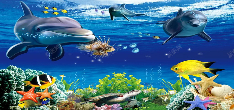 卡通画背景jpg设计背景_新图网 https://ixintu.com 卡通画 海底世界 鲨鱼 海洋 海水 海龟 海星 海藻 生物 植物 海报banner 卡通 童趣 手绘