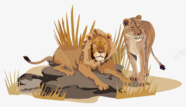 非洲食肉动物狮子png免抠素材_新图网 https://ixintu.com 非洲 食肉动物 狮子 插画 动物