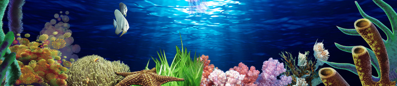 创意海洋文化节总动员海报背景素材psd设计背景_新图网 https://ixintu.com 创意海底世界 海报背景 海洋世界 激动 海洋狂欢节 海洋总动员海洋文化节 海洋宝藏 海洋主题 海洋生物展