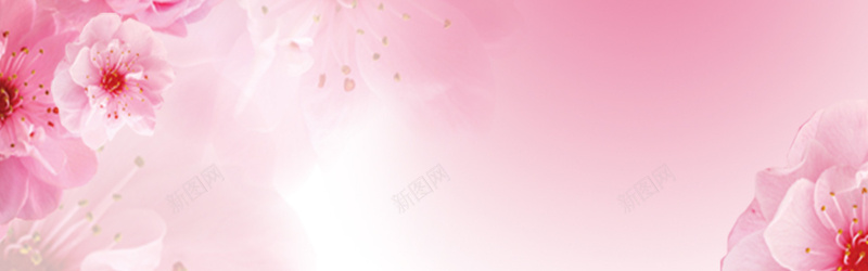 女性化妆品背景jpg设计背景_新图网 https://ixintu.com 海报banner