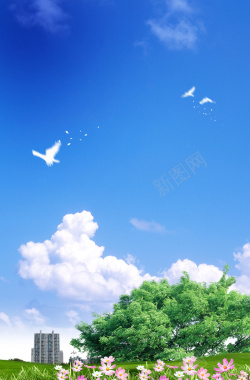 蓝天白云绿树和平鸽建筑印刷背景背景