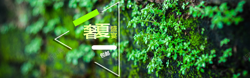 奢夏盛宴psd设计背景_新图网 https://ixintu.com 女装banner 海报banner 新品上新 植物 绿色 奢夏盛宴