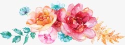 水彩手绘的花卉素材素材