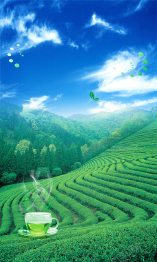 绿色茶园茶杯蓝天白云海报背景背景