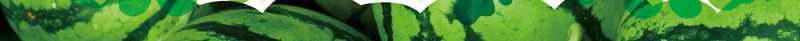 西瓜促销活动宣传海报背景psd设计背景_新图网 https://ixintu.com 农产品背景 有机农产品 美食海报 食材 农产品图片 有机蔬菜DM 有机西瓜广告单