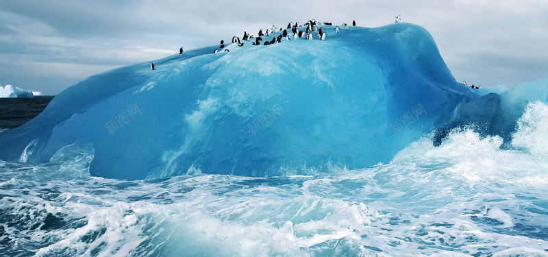 极地背景图jpg设计背景_新图网 https://ixintu.com 极地 冰块 海洋 蓝色 企鹅 海报banner 摄影 风景