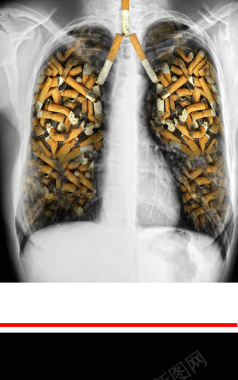 531世界无烟日肺与香烟创意广告背景背景