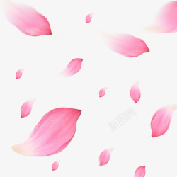 透明粉色花瓣飘落素材