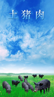 蓝色天空绿地跑山猪H5背景背景
