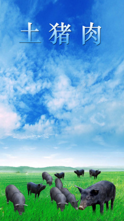 野猪蓝色天空绿地跑山猪H5背景高清图片