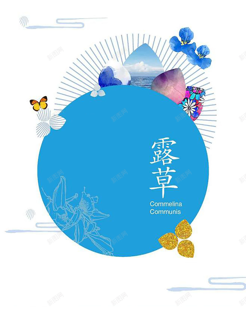 露草背景图jpg设计背景_新图网 https://ixintu.com 卡通 天空 童趣 蓝色 蝴蝶 兰花稳重白色 手绘