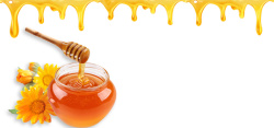 小清新蜂蜜白色蜂蜜背景海报高清图片