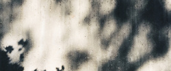 个性树雕灰色个性墙面banner背景高清图片