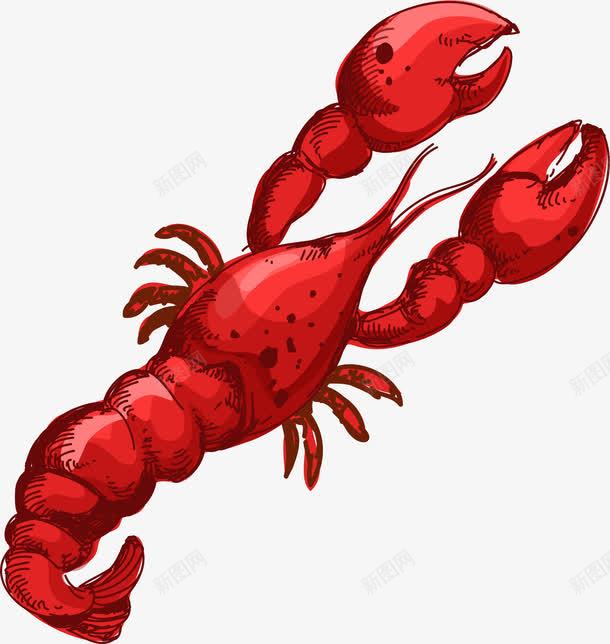 红色手绘龙虾海鲜png免抠素材_新图网 https://ixintu.com 海鲜 红色 龙虾 海洋生物 矢量图案 手绘