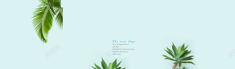 植物背景17jpg设计背景_新图网 https://ixintu.com 海报banner