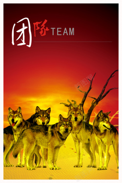 红色的狼大气狼的团结红色背景素材高清图片