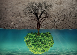 绿植地球干枯地球植树节爱护水资源背景高清图片