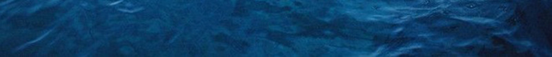 蓝白海洋海豚广阔背景图jpg设计背景_新图网 https://ixintu.com 海洋 海豚 广阔 背景图 风景 蓝白 摄影 大气 蓝色