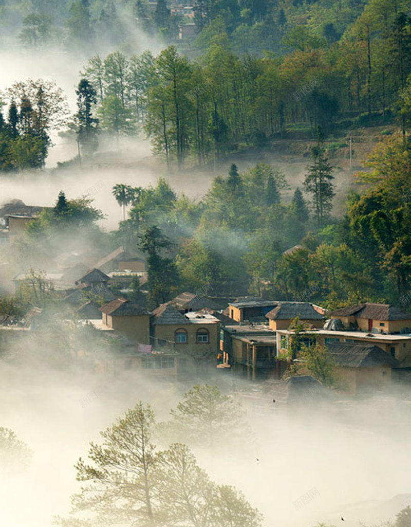 朦胧风景APP手机端H5背景jpg设计背景_新图网 https://ixintu.com 小清新 山野 朦胧 树木 风景 旅游 APP手机端 H5背景 风景背景 朦胧背景