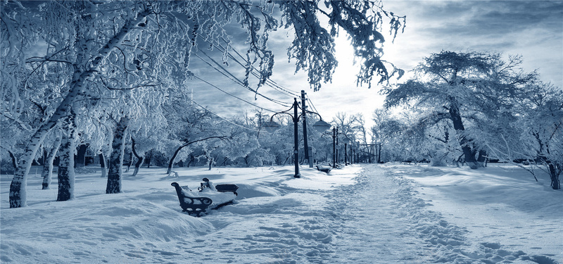 雪后的街道背景图jpg设计背景_新图网 https://ixintu.com 摄影 大雪 树枝 座椅 街道 线缆 海报banner 风景