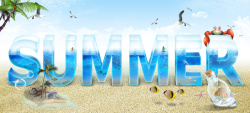 贝壳海鸥夏日沙滩创意背景高清图片