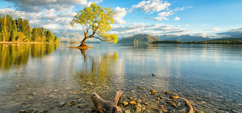 浪漫摄影背景背景