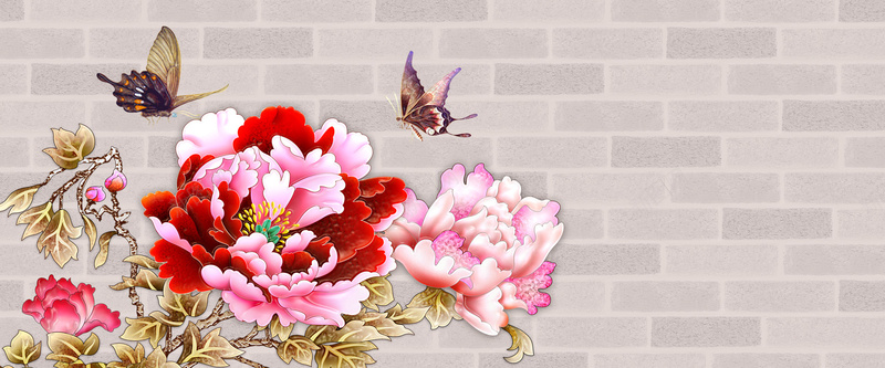 富贵花蝴蝶墙壁背景背景