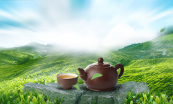 绿色茶碗茶道创意背景高清图片