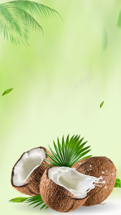 梦幻海南海南椰子夏季水果H5背景素材高清图片