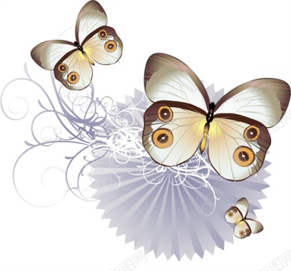 蝴蝶花纹动态海报背景背景