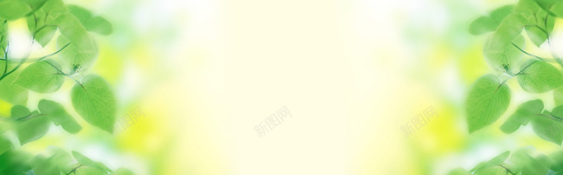 欧洲奢华品质欧美风格潮流女装时尚百搭背景psd设计背景_新图网 https://ixintu.com 海报banner