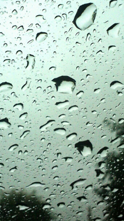玻璃雨珠雨中美景高清H5背景高清图片
