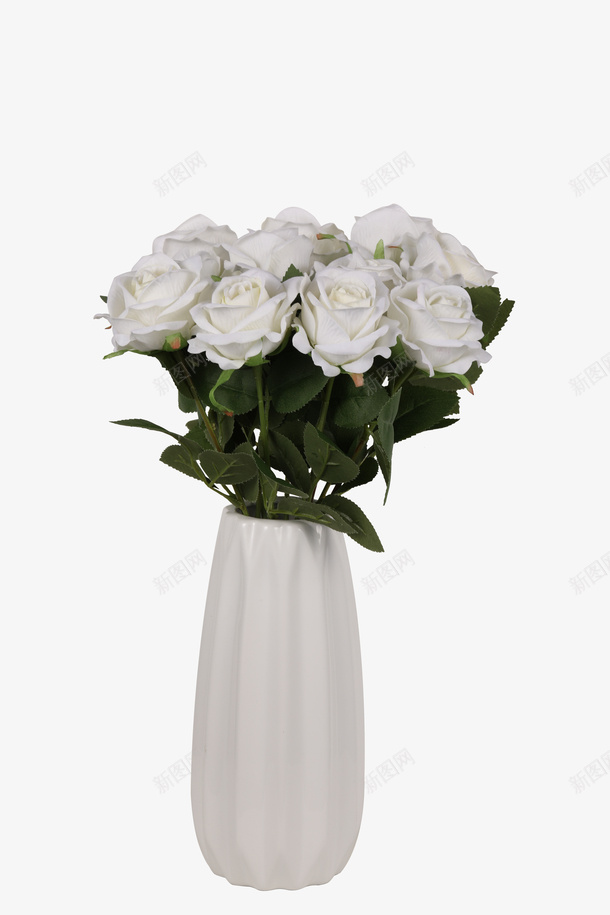 花花朵花瓶白色花朵png免抠素材_新图网 https://ixintu.com 花 花朵 花瓶 白色花朵
