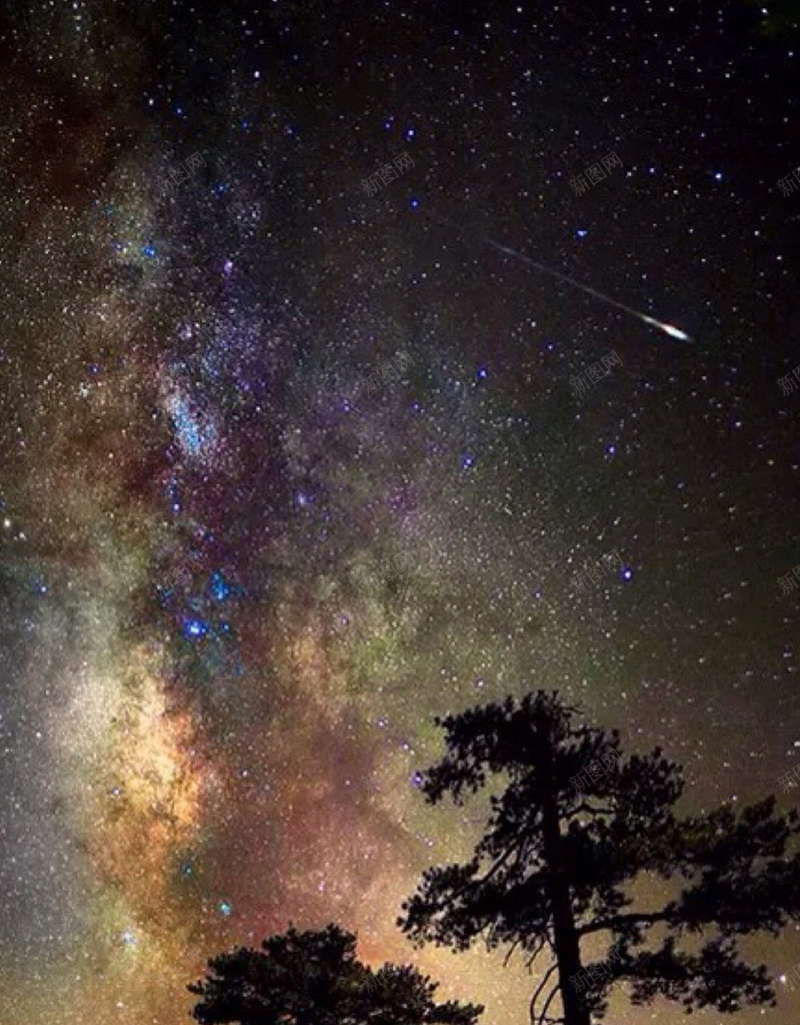 夜晚星空美景手机端H5背景jpg设计背景_新图网 https://ixintu.com 星空背景 夜晚 夜景 星空 森林 树木 美景 手机端 H5背景 星空夜晚 夜晚背景