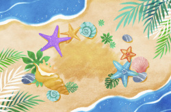 海星海贝沙滩背景印刷背景高清图片