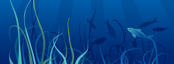 扁平鱼群蓝色海洋背景高清图片