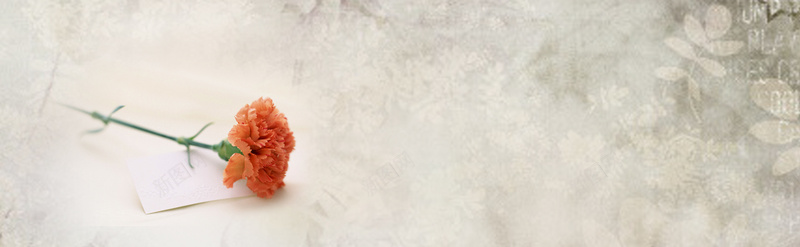 母情节康乃馨背景jpg设计背景_新图网 https://ixintu.com 海报banner 花纹背景 康乃馨 母情节