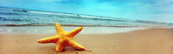 海五星图片海洋沙滩淘宝背景图片高清图片