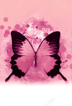 粉色的蝴蝶花现代粉色蝴蝶花KTV背景素材高清图片
