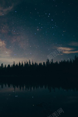 夜晚森林星空H5背景背景